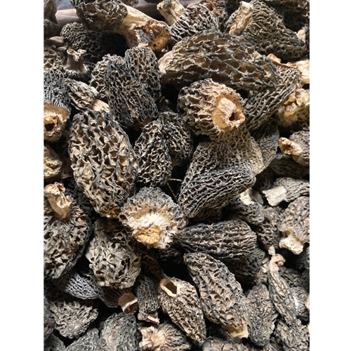 Dried Wild Morel Mushrooms