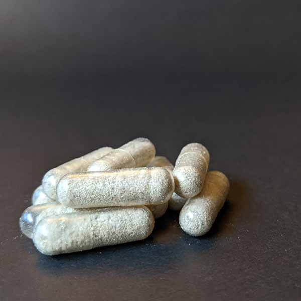 dose, dosing, golden, Golden teacher, Golden teacheres, goldern teacher shrooms, micro, microdosing