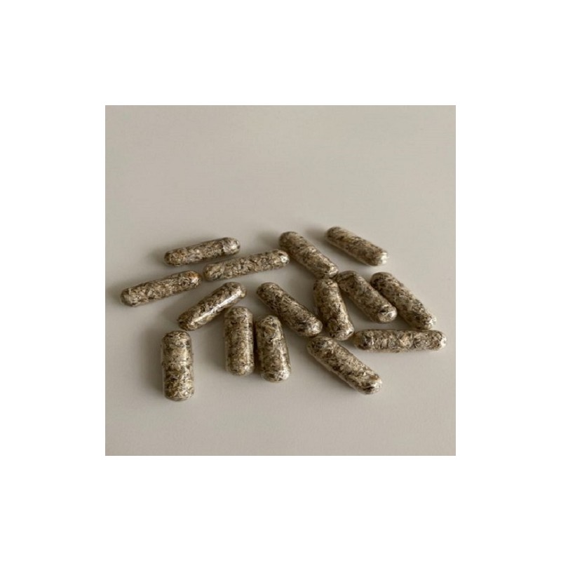 Psilocybin Mushroom Capsules - 50 CAPS