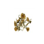 Golden teacher mushrooms